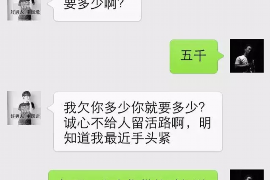 南漳为什么选择专业追讨公司来处理您的债务纠纷？